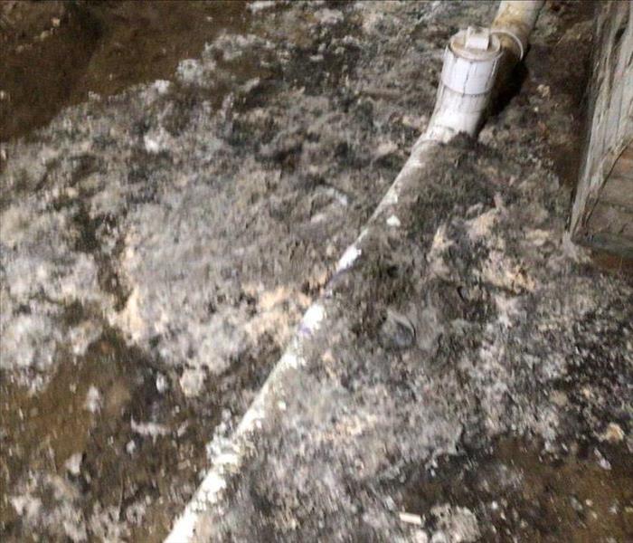 Main Sewage Pipe Affected 