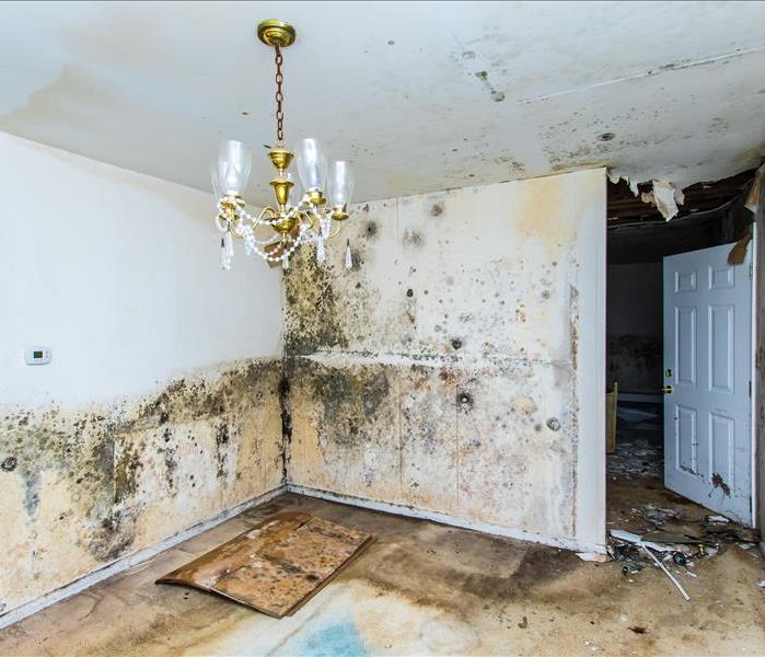 Mold growth in a home